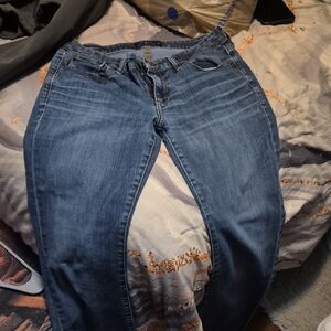 Lucky Brand Women's Straight Leg Blue Jeans